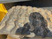 Gallery image 30
